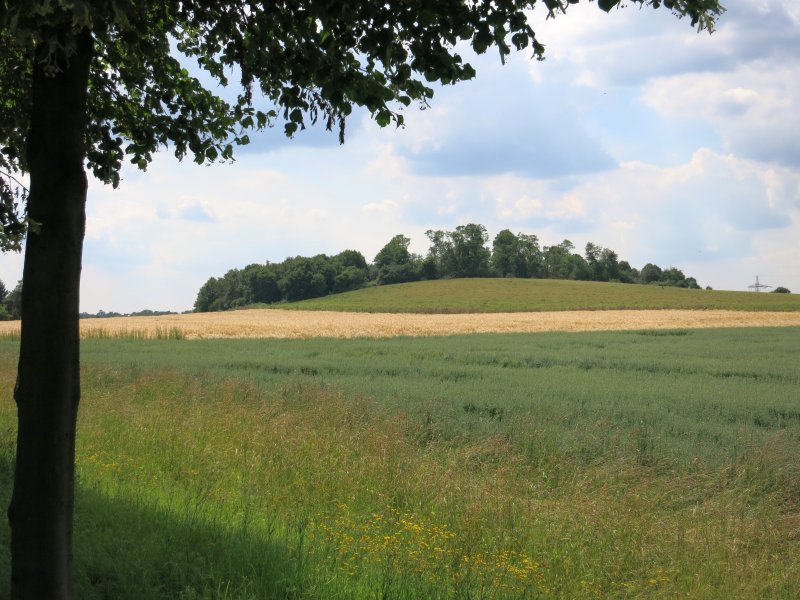 Naturschutzgebiet Mechtenberg