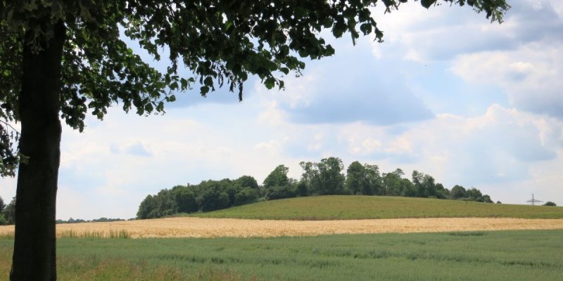 Naturschutzgebiet Mechtenberg