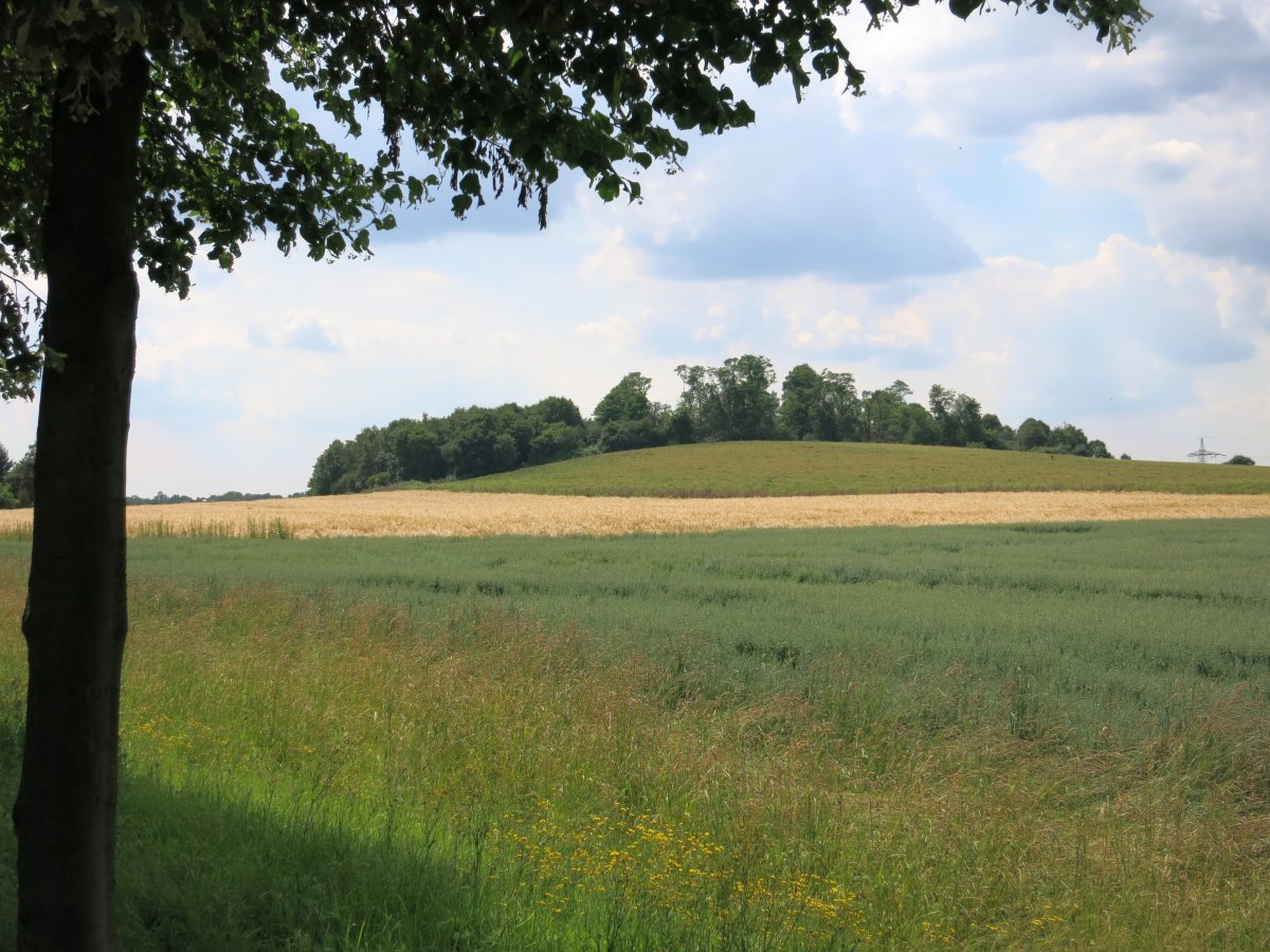 Naturschutzgebiet Mechtenberg (Süd 2)