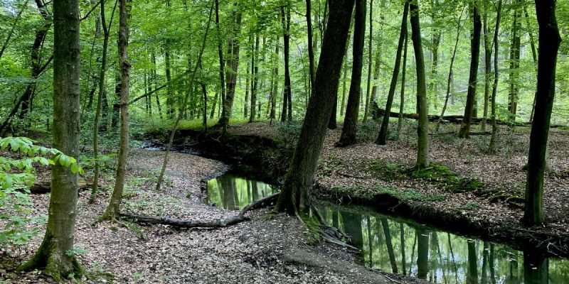 Naturschutzgebiet Oefter Tal
