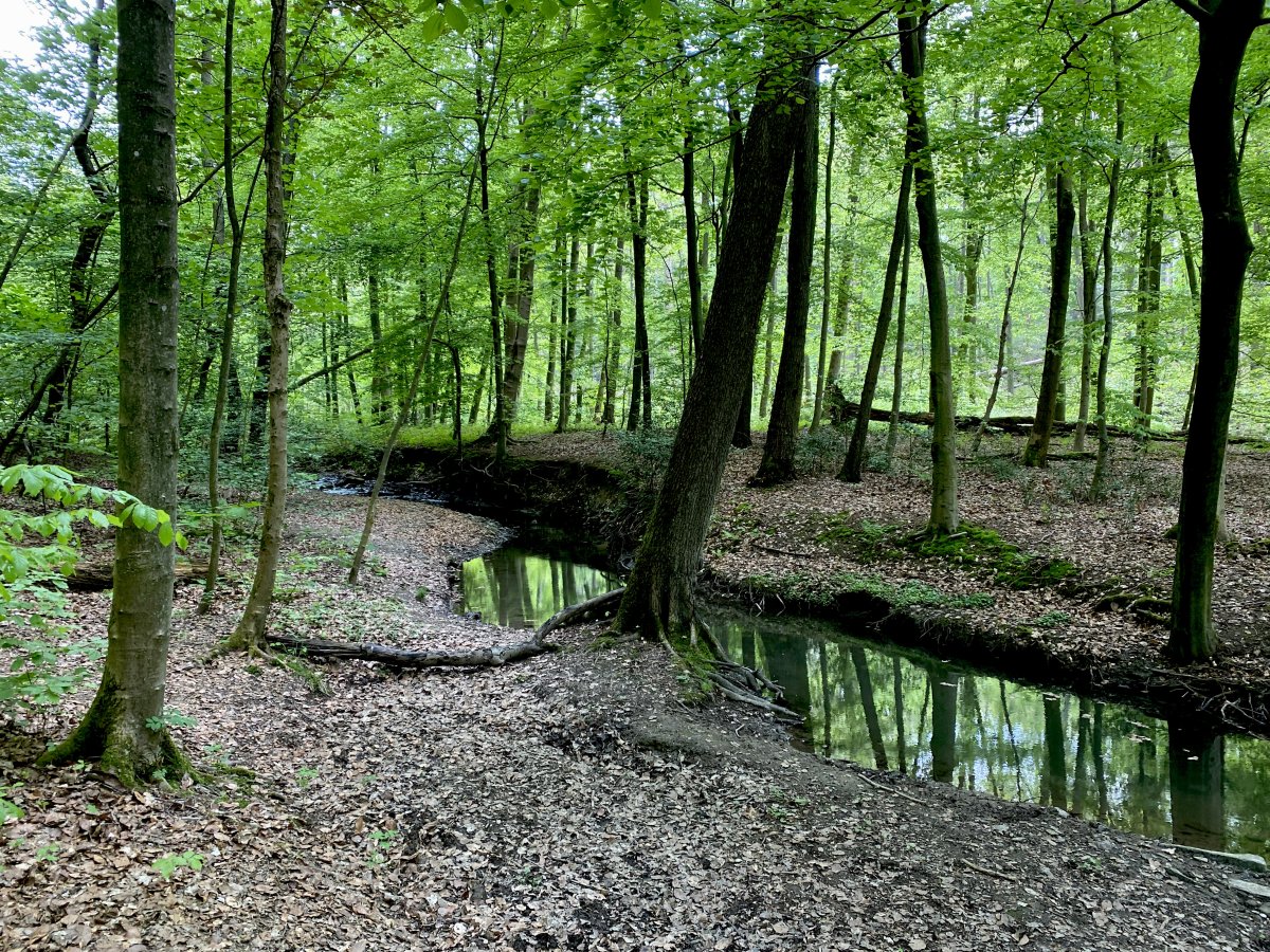 Naturschutzgebiet Oefter Tal