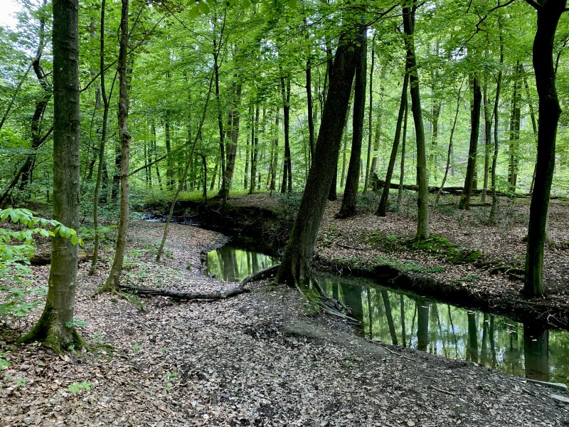 Naturschutzgebiet Oefter Tal
