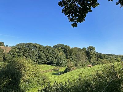 Oefter Bachtal mit Nebentälern