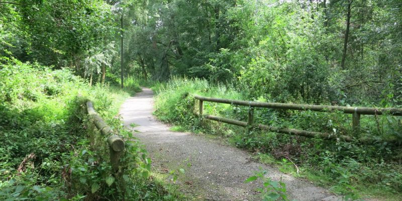 Schönebecker Schlucht