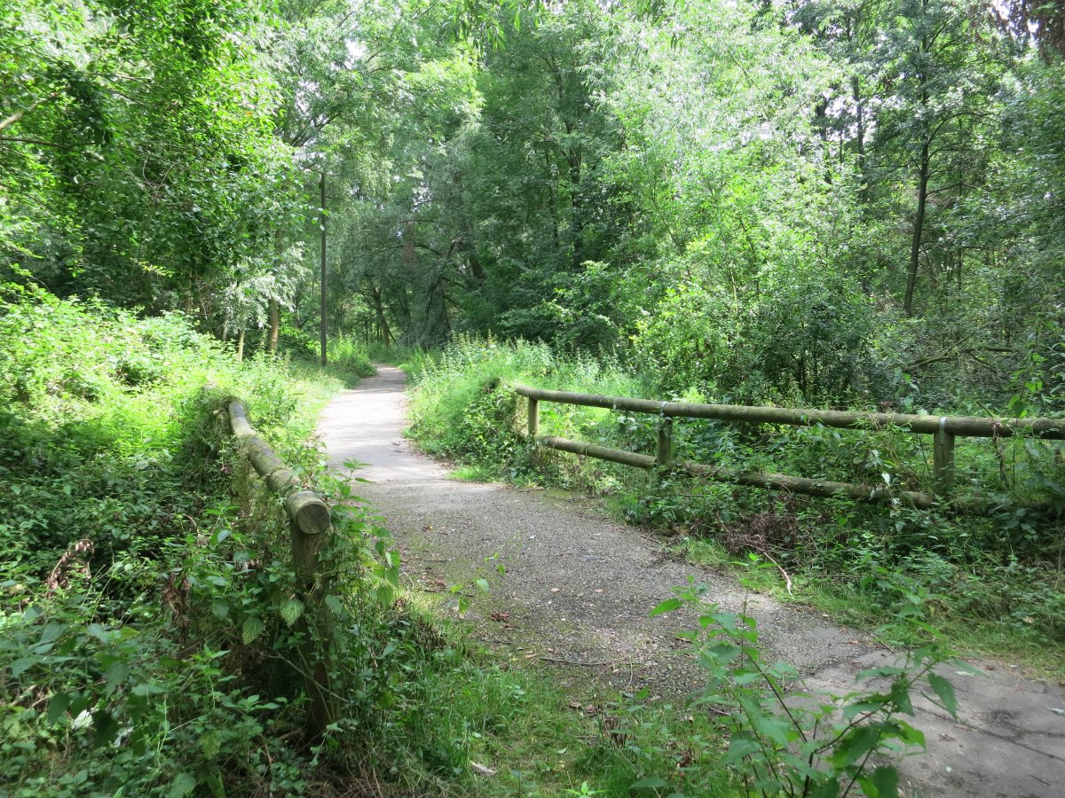 Schönebecker Schlucht