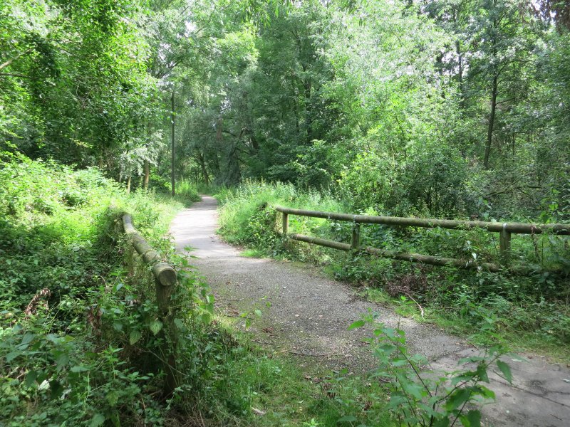 Schönebecker Schlucht
