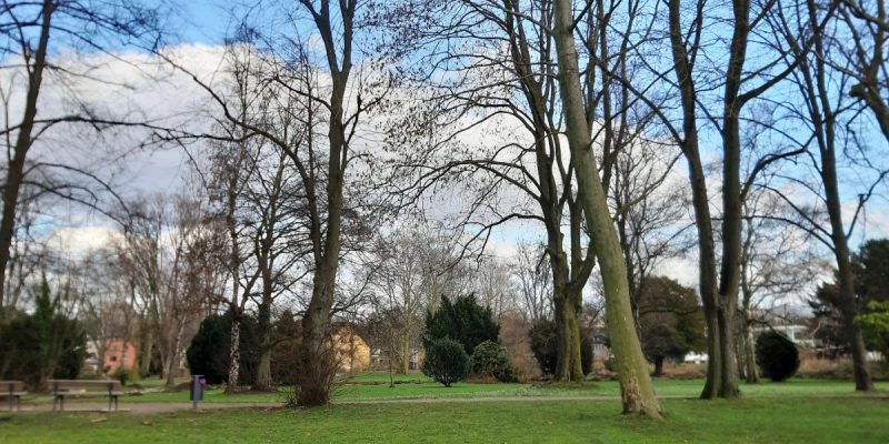 Spindelmannpark