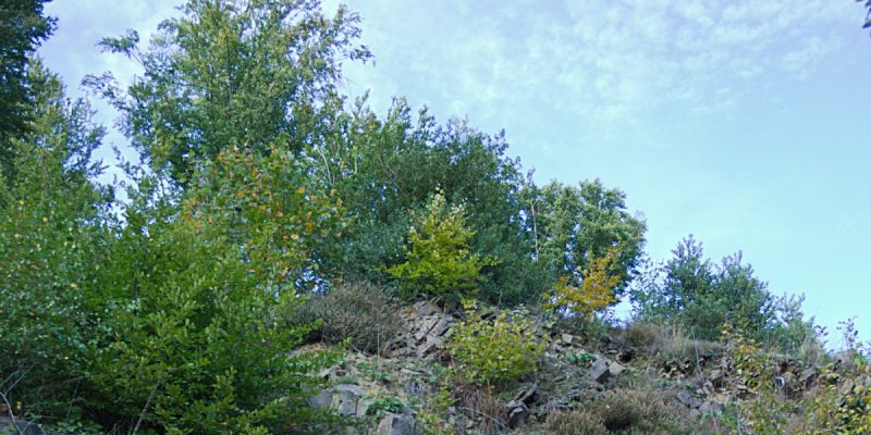 Steinbruch Deilbachtal