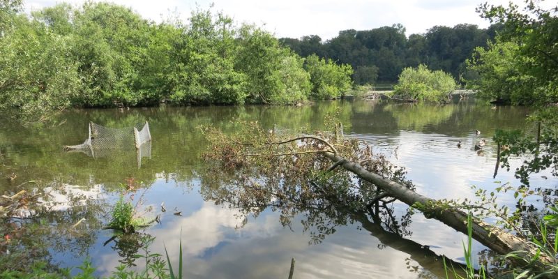 Vogelschutzgebiet Heisinger Bogen