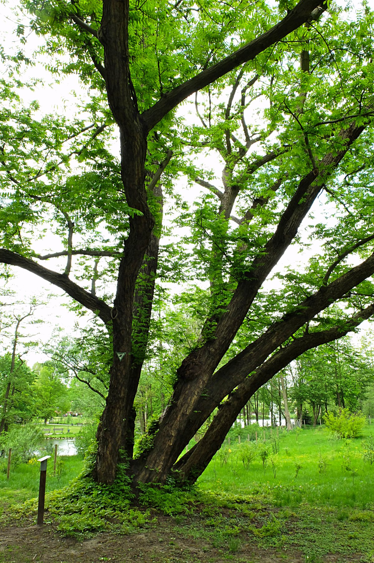 Volksgarten