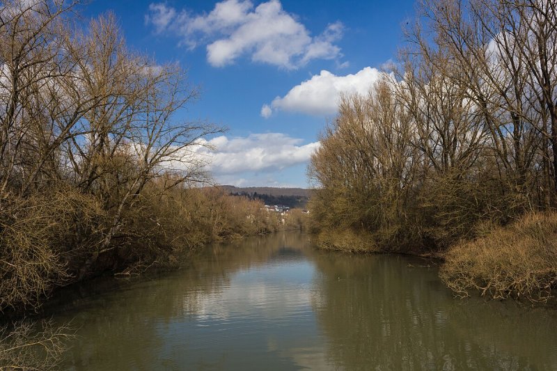 Alter Neckar