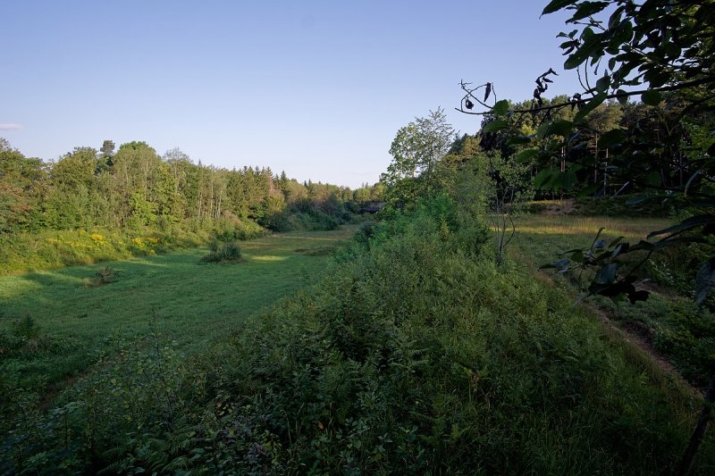 Krähenhäule