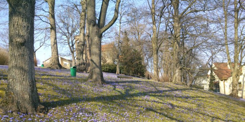 Lutherpark