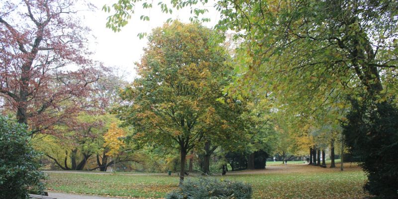 Stadtpark
