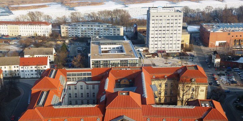 European University Viadrina