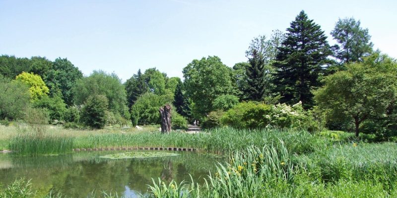 Botanischer Garten