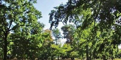 Brentanopark