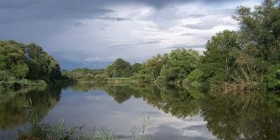 Enkheimer Ried