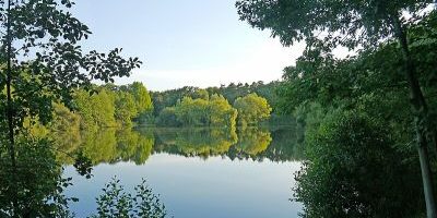 Fechenheimer Weiher