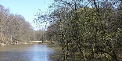 Försterwiesenweiher