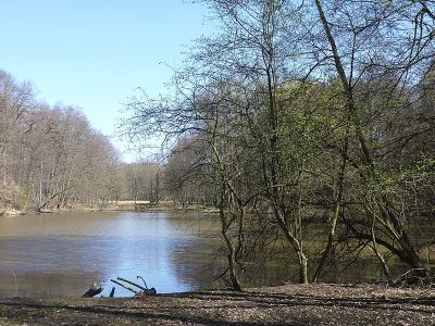 Försterwiesenweiher