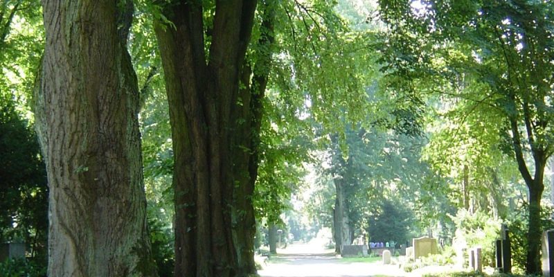 Friedhof Bockenheim