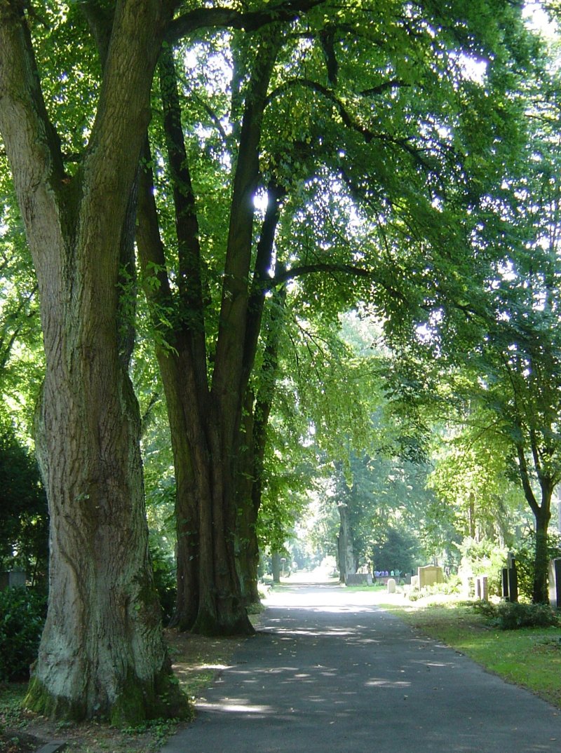 Friedhof Bockenheim