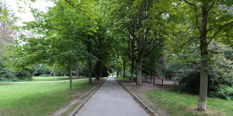 Grüneburgpark