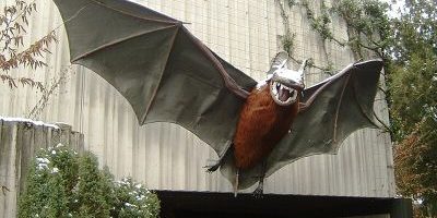 Grzimekhaus: nachtaktive Tiere