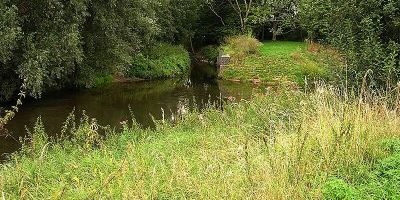 Harheimer Ried