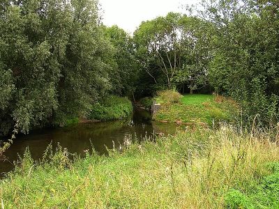 Harheimer Ried