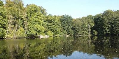 Jacobiweiher