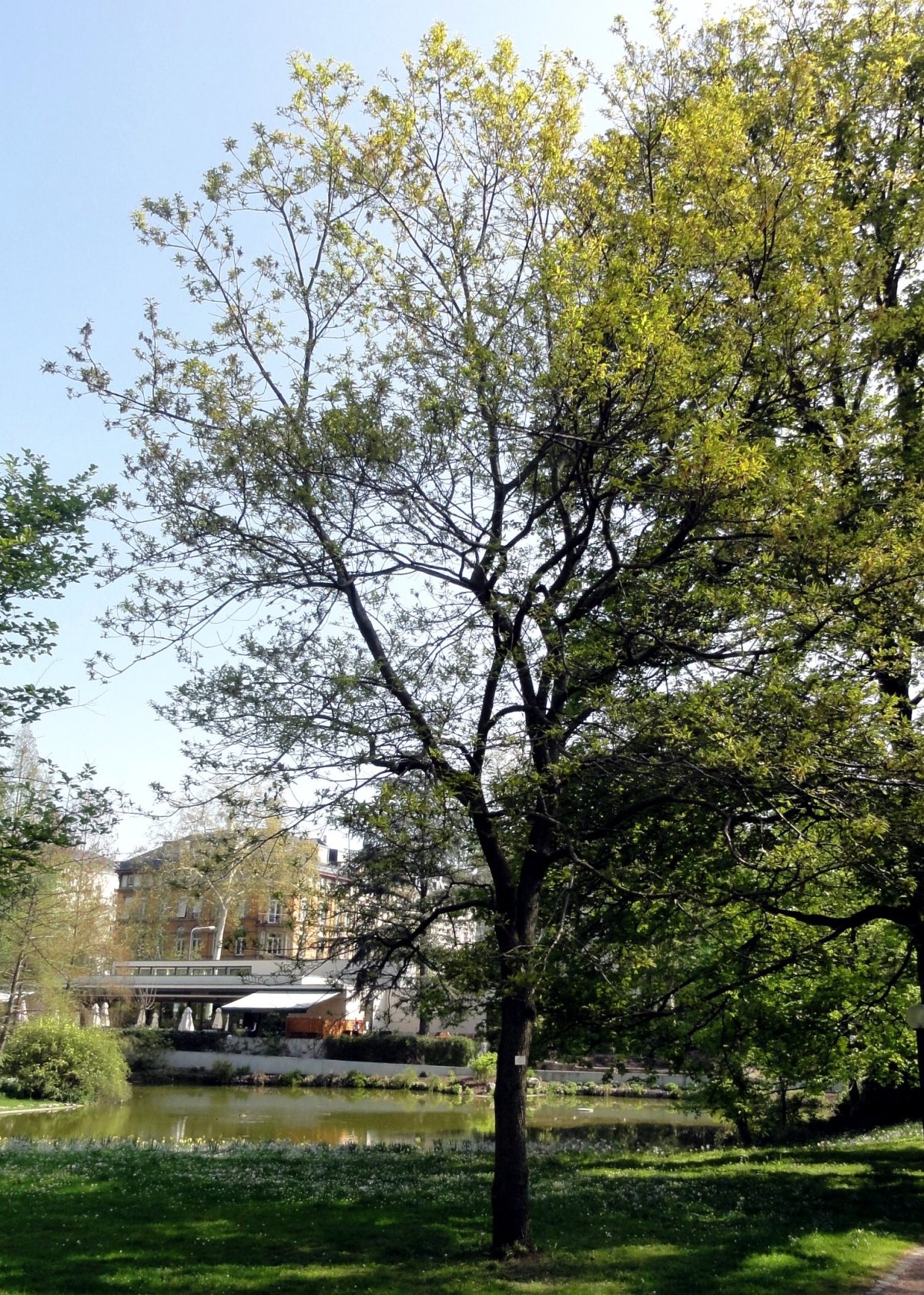Kugelbrunnen