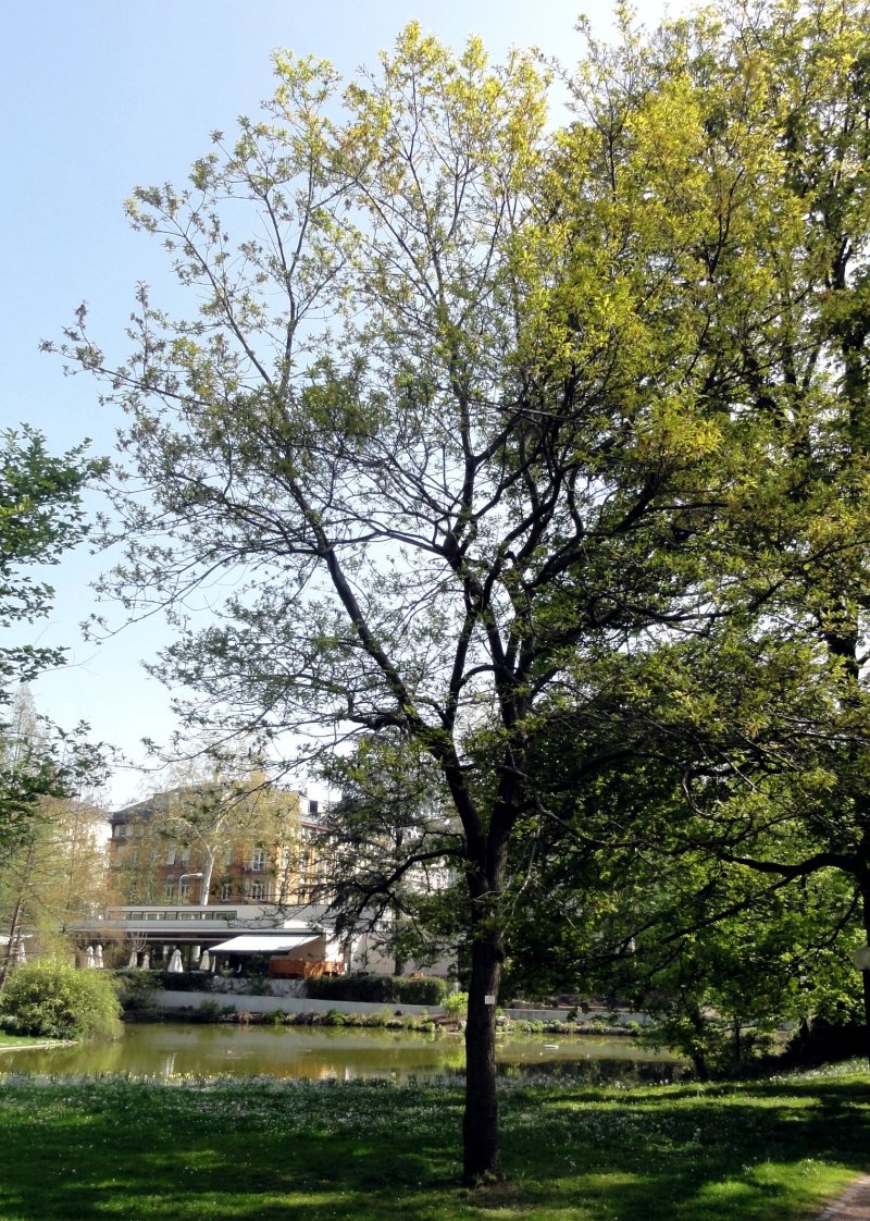 Kugelbrunnen