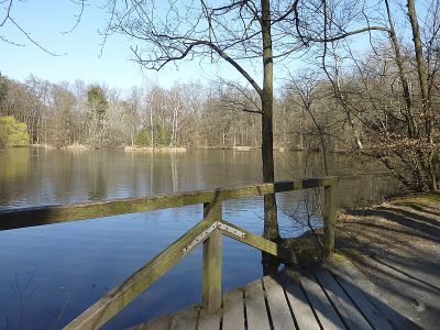 Maunzenweiher