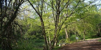 Mühlbachtal von Bergen-Enkheim