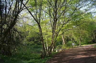 Mühlbachtal von Bergen-Enkheim