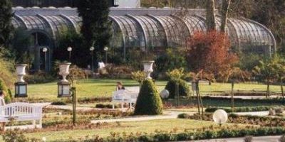 Palmengarten