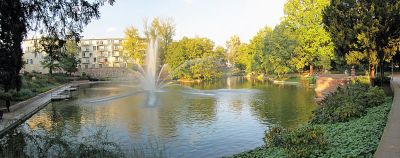 Rechneigrabenweiher