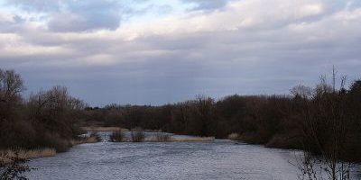 Riedteich