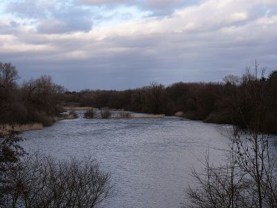 Riedteich