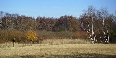 Riedwiesen bei Niederursel