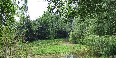 Sausee
