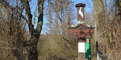 Seckbacher Ried
