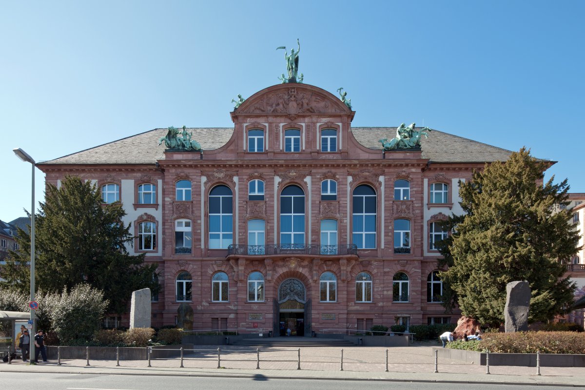 Senckenberg Naturmuseum