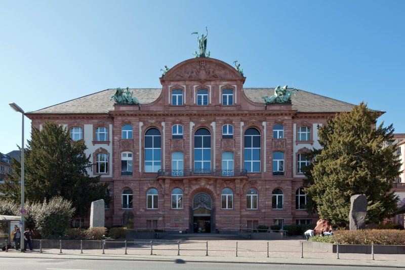 Senckenberg Naturmuseum