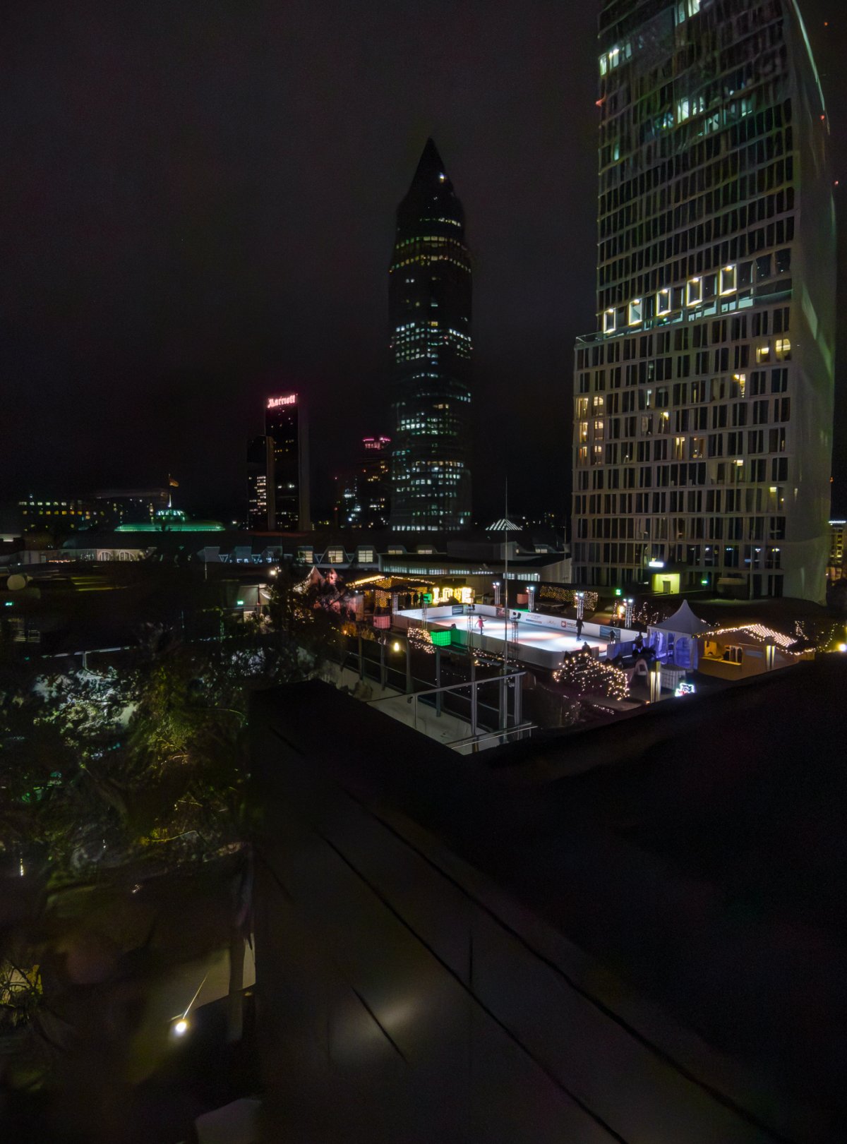 Skyline Garden