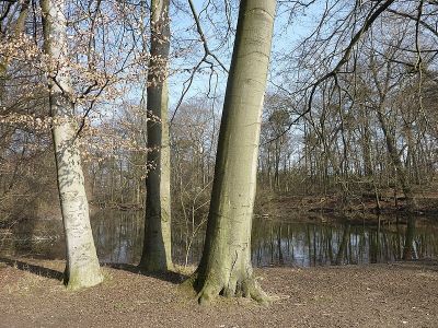Tiroler Weiher