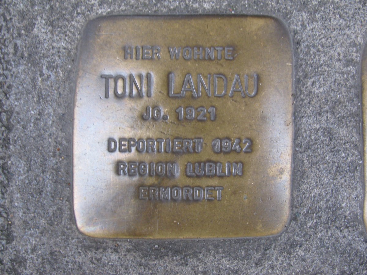 Toni Landau