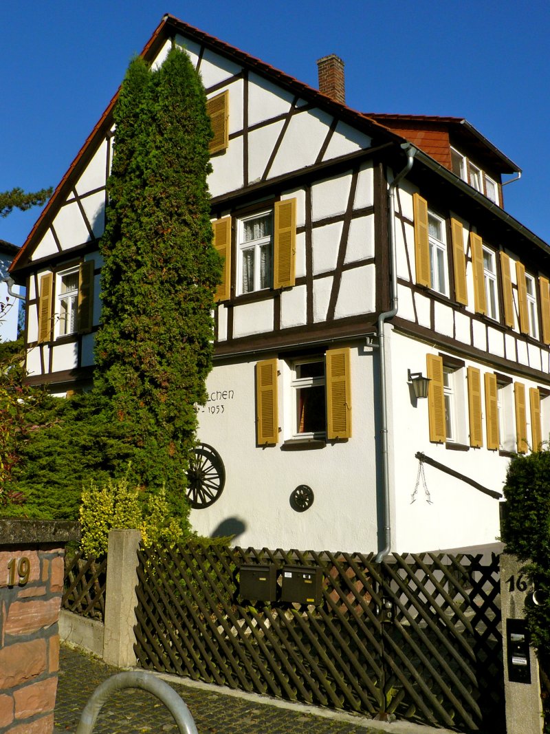 TV 1875 Seckbach
